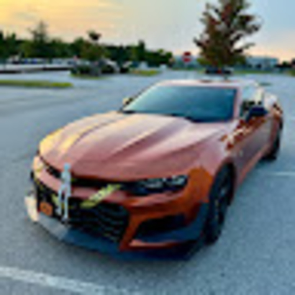 Meet your Posher, Scarlett